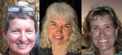 Three vying for City Council seats