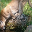 Preying on superstition