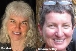 1A passes; Baxter, Noseworthy voted in