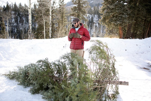 Doh! Christmas tree