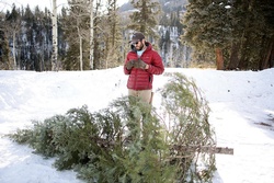 Doh! Christmas tree