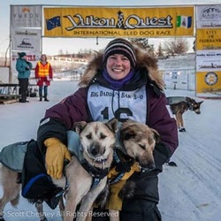 Leader of the pack