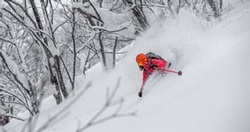 Way, way out of bounds