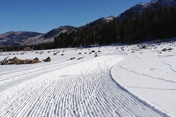 Winter of content