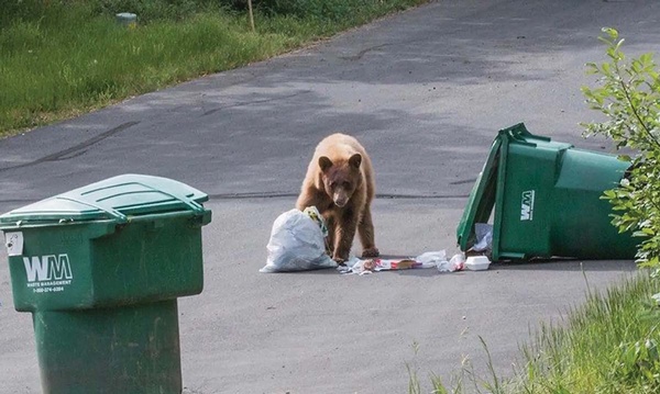 Tougher on trash