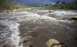 In the flow