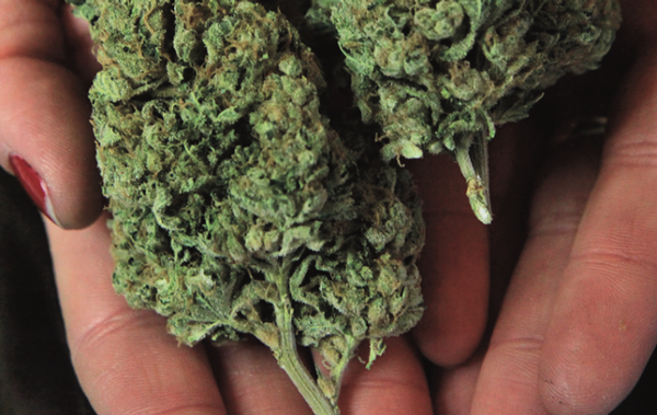 Up in smoke