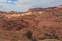 west1.jpg