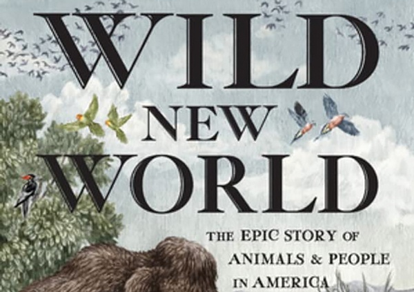 Where the wild things are