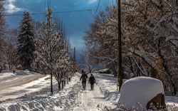 snow1.jpg