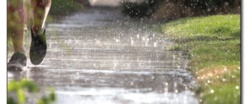 Let it rain