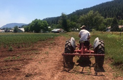 County seeks input – once again – on update to 35-year-old land-use code