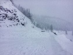 A day in Deer Creek: What could possibly go wrong?