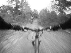 BLM advisory council to discuss e-bikes