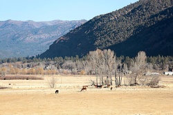 The lay of the land